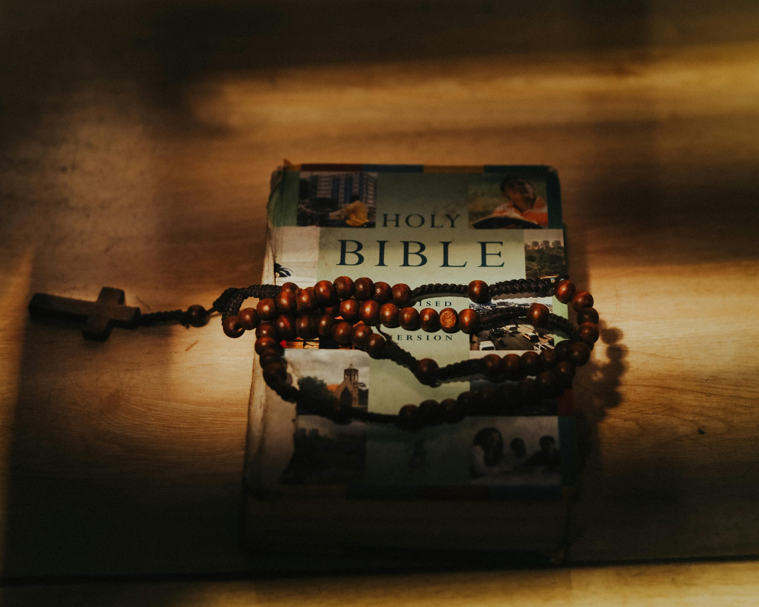 What Is The Bible In Life?