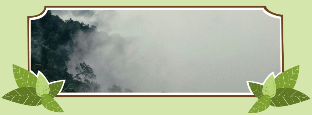 How to Take Nature Photos