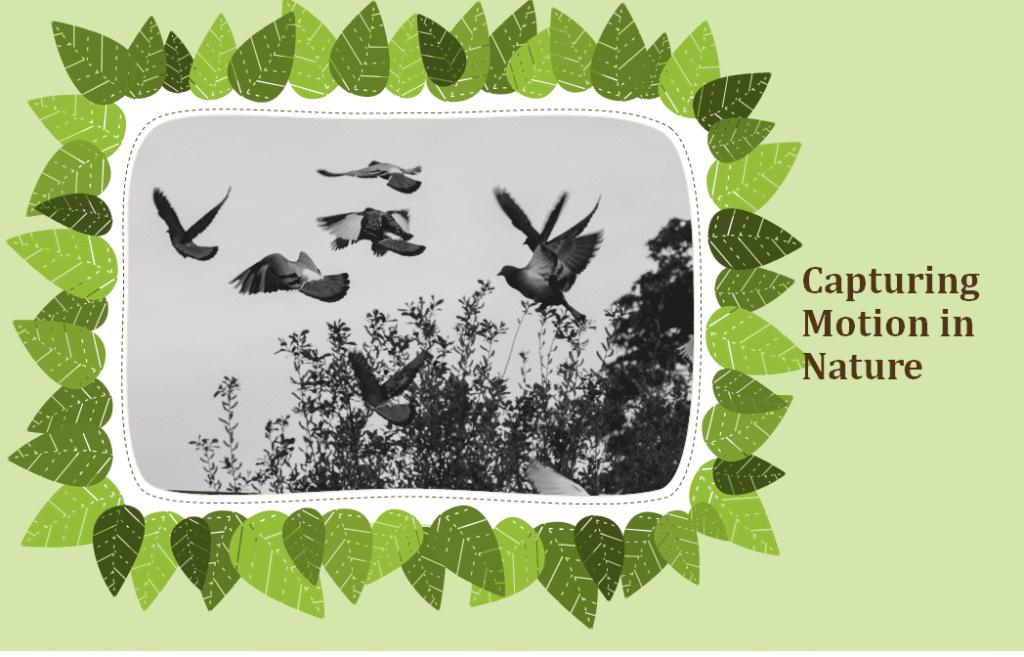 How to Take Nature Photos