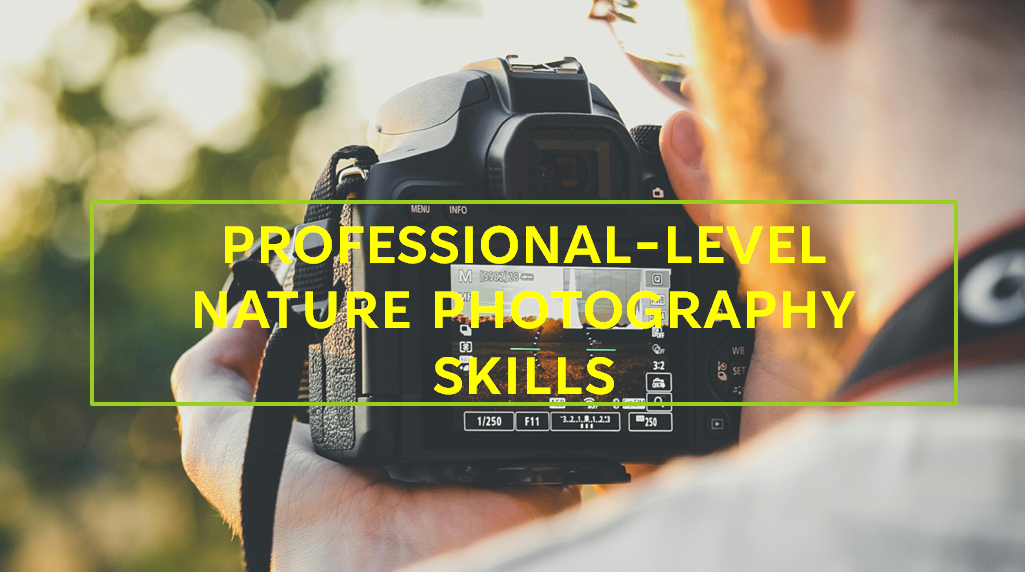 How to Take Nature Photos