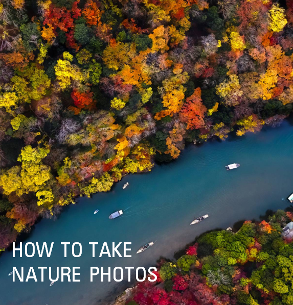 How to Take Nature Photos