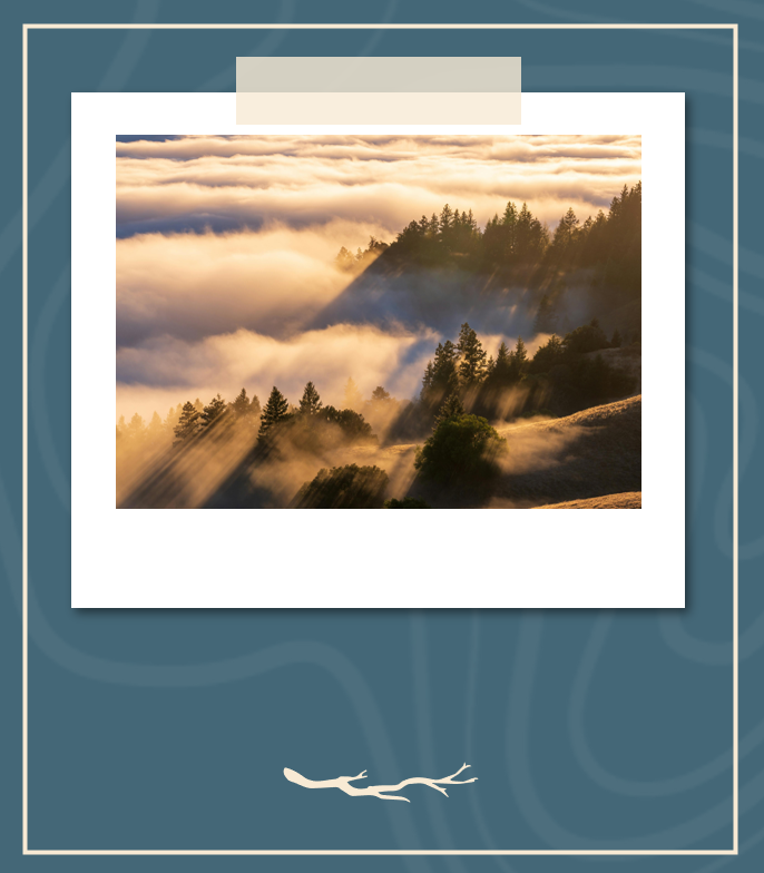 The 50 Best Hills Places